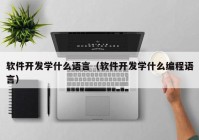 软件开发学什么语言（软件开发学什么编程语言）