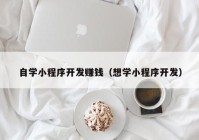 自学小程序开发赚钱（想学小程序开发）