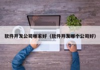 软件开发公司哪家好（软件开发哪个公司好）