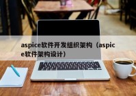 aspice软件开发组织架构（aspice软件架构设计）