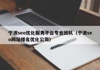 宁波seo优化服务平台专业团队（宁波seo网站排名优化公司）