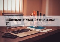 菏泽济阳seo优化公司（济南优化seo公司）