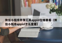 微信小程序开发工具appid在哪里看（微信小程序appid怎么查看）